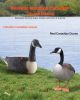 Canada Goose Decoys, Outdoors Goose Decoy for Waterfowl Hunting, Durable Plastic Floaters with Ultra Realistic Paint, for Pool, Pond, Lake